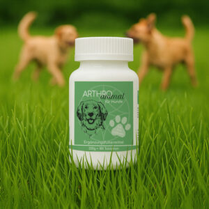 ARTHRO Animal für Hunde