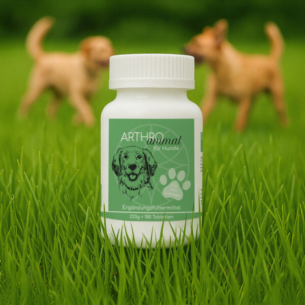 ARTHRO Animal für Hunde